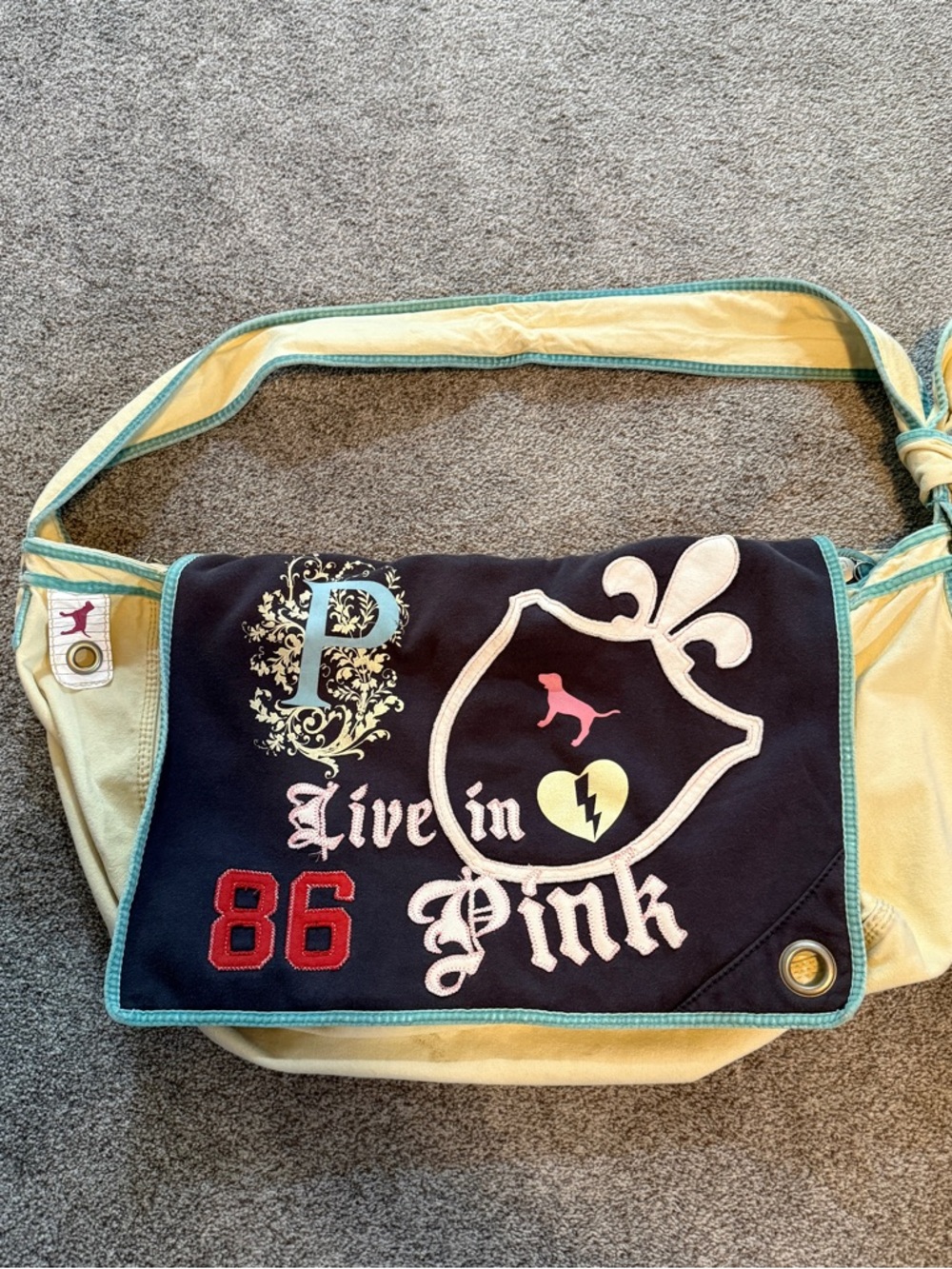 Victoria Secret PINK Graphic Canvas Satchel